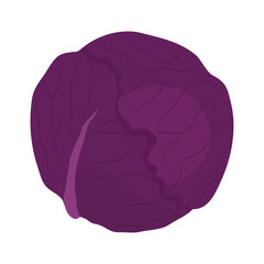 赤キャベツのアイコン　葉物野菜のイラスト素材