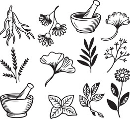 Herbal Medicine and Plant Set