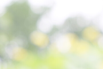 Green nature bokeh, Subtle background in abstract style for graphic design