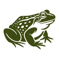 African Bullfrog