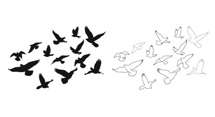 A flock of birds in flight depicted in black and white line art