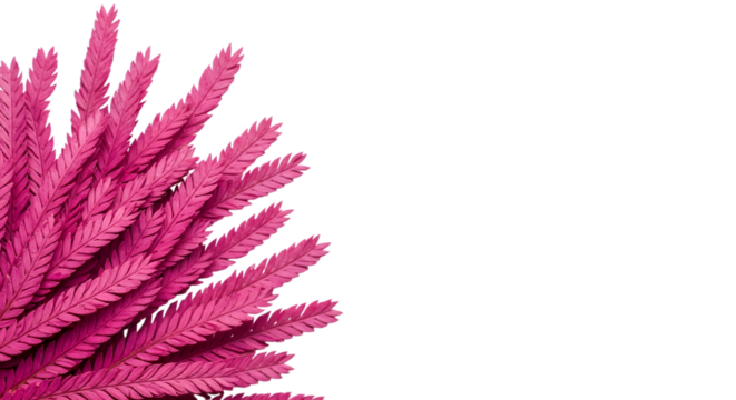 A cluster of vibrant pink dried flowers or grass