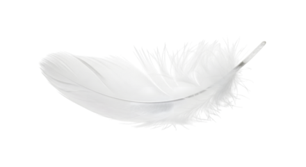 A single delicate white feather with subtle silver glitter accents, gently floating against a clean transparent background, isolated