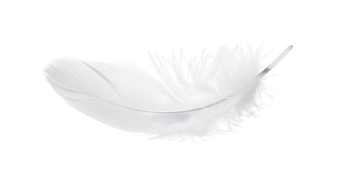 A single delicate white feather with subtle silver glitter accents, gently floating against a clean transparent background, isolated
