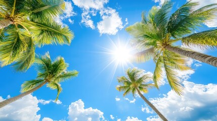Fototapeta premium A sunny day on the coast with swaying palm trees and crystal sky, symbolizing carefree vacation and calm