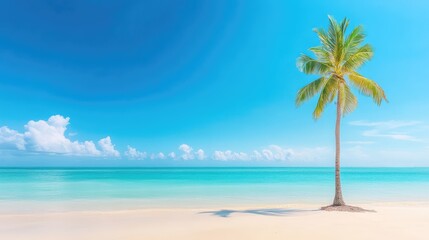 Idyllic beach scene with a single palm tree and clear skies, perfect for summer vacation dreams and tropical relaxation