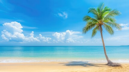 Idyllic beach scene with a single palm tree and clear skies, perfect for summer vacation dreams and tropical relaxation