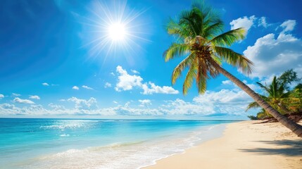 Palm tree leans over a quiet beach under radiant sunlight, inviting a moment of vacation escape and rest