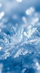 Abstract macro view of a delicate ice crystal formation