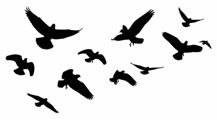 Silhouette Flock of Birds Flying in Open Sky.