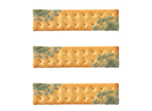 Moldy cracker stale biscuit green mold spoiled snack isolated top view rectangle
