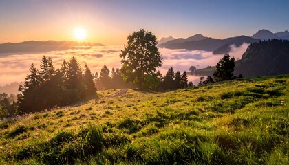 Sunrise over a misty valley with trees and mountains.