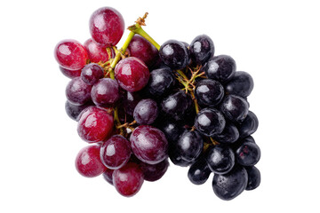 Fototapeta premium A mixed bunch of red and dark purple grapes on a stem, ripe and ready to eat