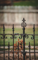 old metal fence at a park