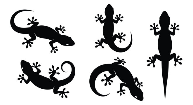 Gecko silhouette vectors for exotic pet designs and reptile graphics