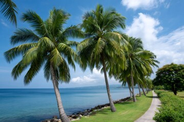 Obraz premium Tropical walkway along a vibrant blue ocean with palm trees