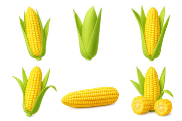 Assorted corn ears and corn cob on transparent background