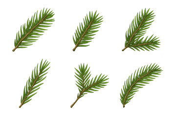 Six green pine needle sprigs arranged diagonally on transparent background