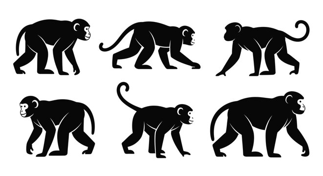 Cute monkey silhouettes ideal for jungle themed designs or animal logos