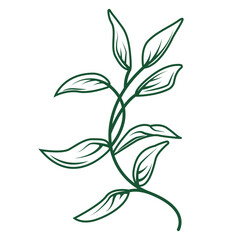 Green Leaves Vector Line Art Simple Icon for Nature, Gardening, and Pattern