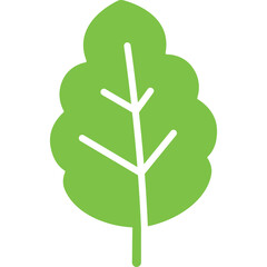 Green Leaf Icon with Simple Stem and Veins Against Transparent Background