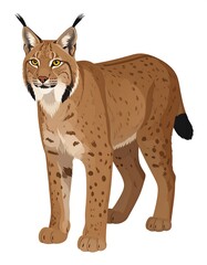 Digitally created illustration of a Lynx in full, alert, upright stance