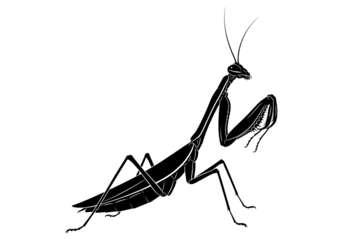 Praying Mantis Silhouette Black Vector SVG