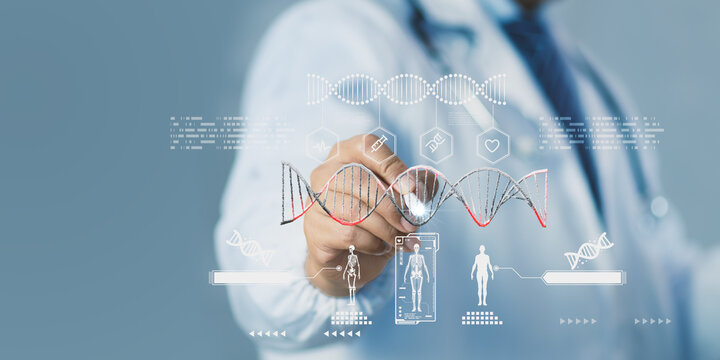 Doctor analyzing DNA structure using AI and digital hologram interface, representing biotechnology innovation, genetic research, precision medicine, futuristic healthcare technology in modern science. - Powered by Adobe