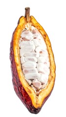 Cross-section of a ripe cocoa pod showcasing beans and pulp