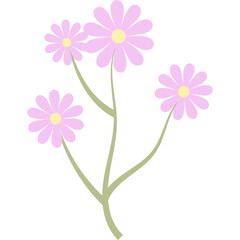 Aesthetic Flower Bouquet