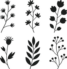 Leaf Vine Silhouette Set Vector Illustration