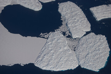 Icebergss from the Bond Glacier, Antarctica