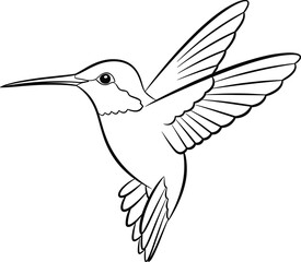 Black and white hummingbird illustration, line art drawing, flying bird profile, detailed wings feathers, nature sketch, minimalist artwork, coloring page design