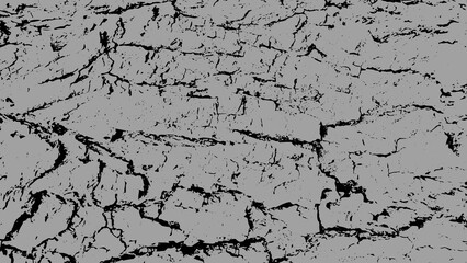 This image presents a textured, abstract pattern resembling cracked earth or aged material