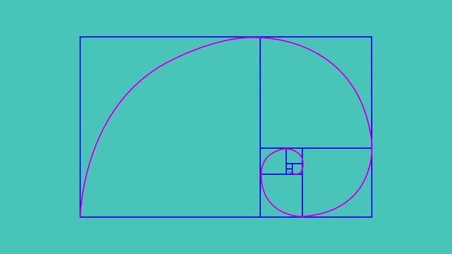 Golden ratio transparent video - The Fibonacci Sequence animated with lines shape. 4k video Alpha channel animation white background .