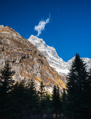 snow covered mountains