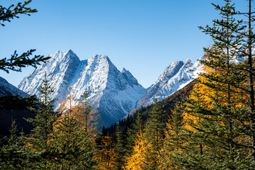 autumn in the mountains