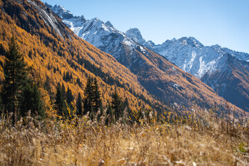 mountain landscape in autumn