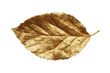 Fototapeta premium Golden Metallic Leaf Isolated on White