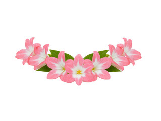 Obraz premium Pink flower garland with green leaves, arranged in semi circle, isolated on transparency background, symbolizing celebration and tropical beauty, evoking cheerful and festive mood