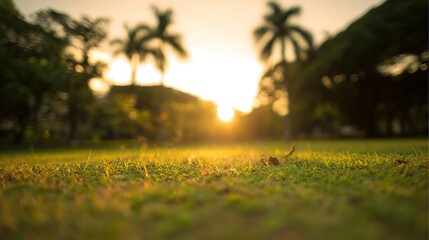 blurred. Tranquil park at sunset with warm golden hues, creating a peaceful natural landscape. inspiring travel planning, travel magazines, designed for travel destination branding.