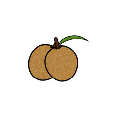 two sapodilla fruits and a leaf vector illustration