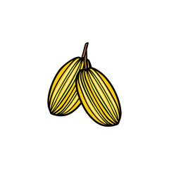 yellow star fruit vector illustration