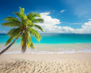 panorama of tropical beach with coconut palm trees