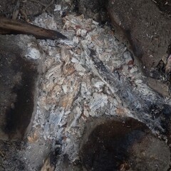 Campfire Ashes Grey White Texture on Ground with Wood