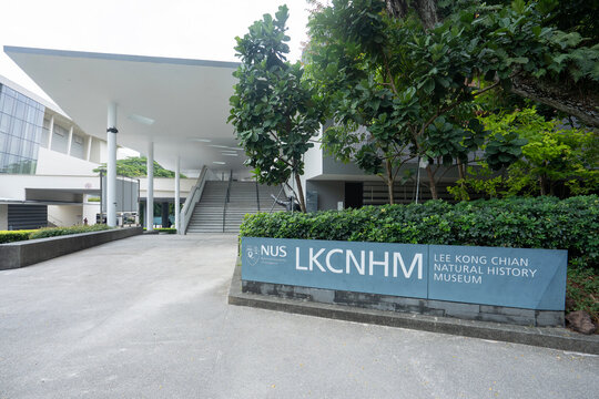 Singapore - July 25, 2025: The Lee Kong Chian Natural History Museum (LKCNHM), a museum of natural history at the Kent Ridge Campus of the National University of Singapore (NUS).