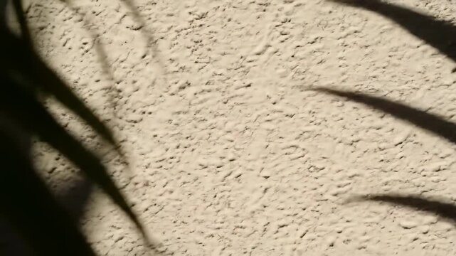 Shadowy textured wall