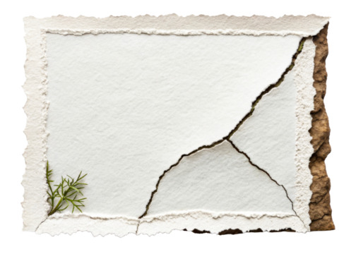 Cracked handmade paper blank frame fern growing earth, cut out transparent