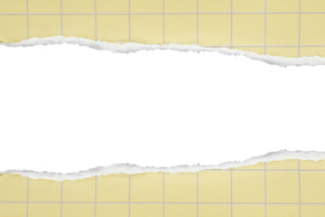 piece of yellow graph cardboard paper tear isolated on white background