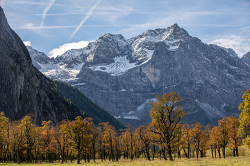 Bäume im Herbst vorm Gebirge